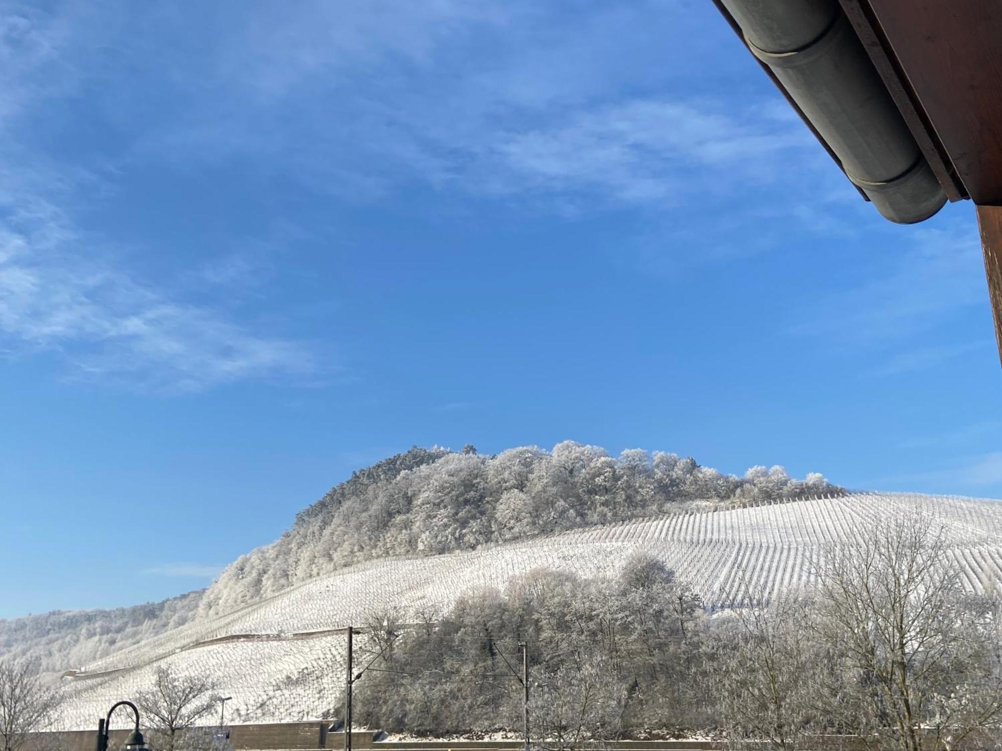 Отель Gastehaus Und Weingut Bernd Frieden Ниттель Экстерьер фото