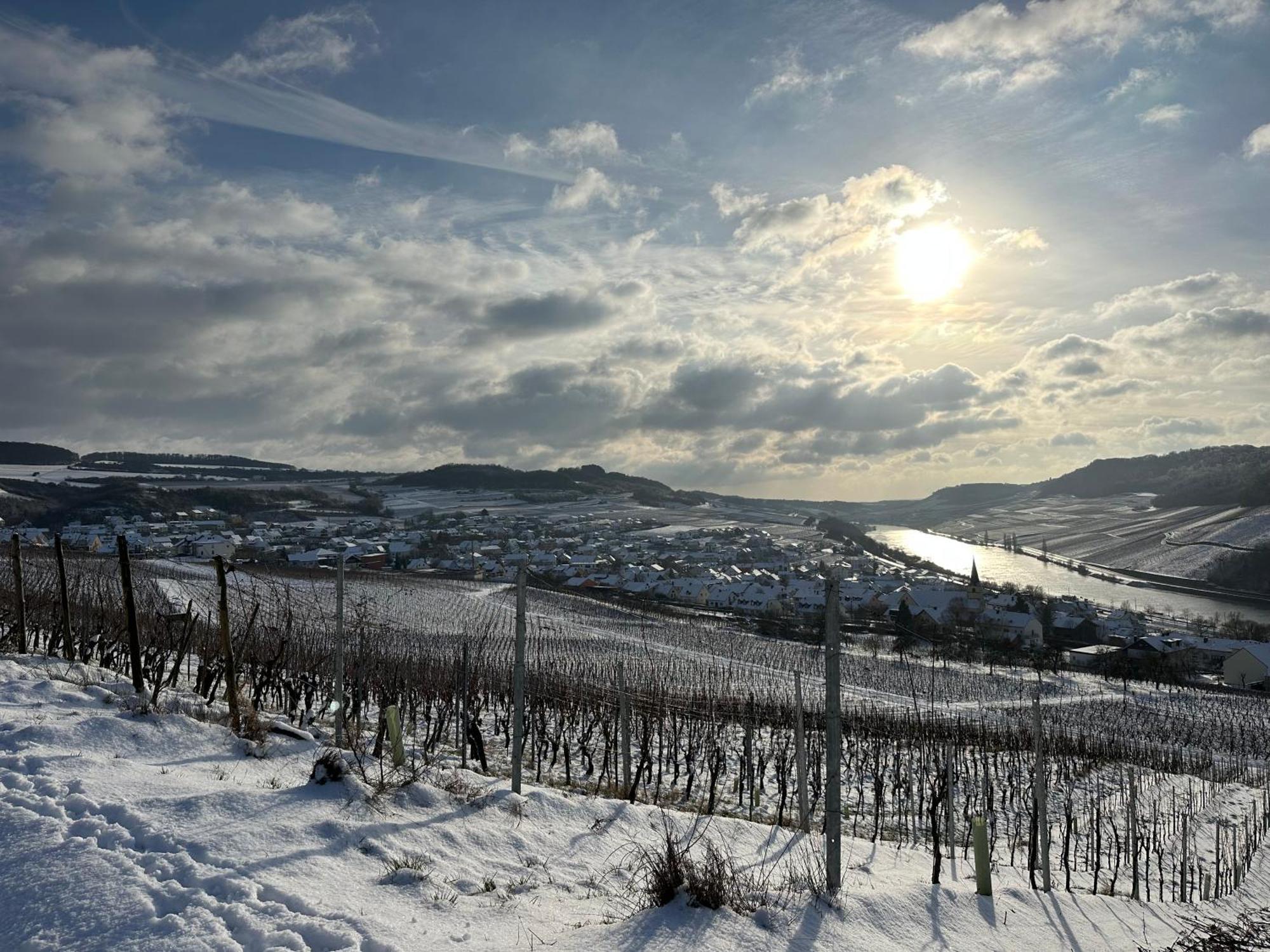 Отель Gastehaus Und Weingut Bernd Frieden Ниттель Экстерьер фото