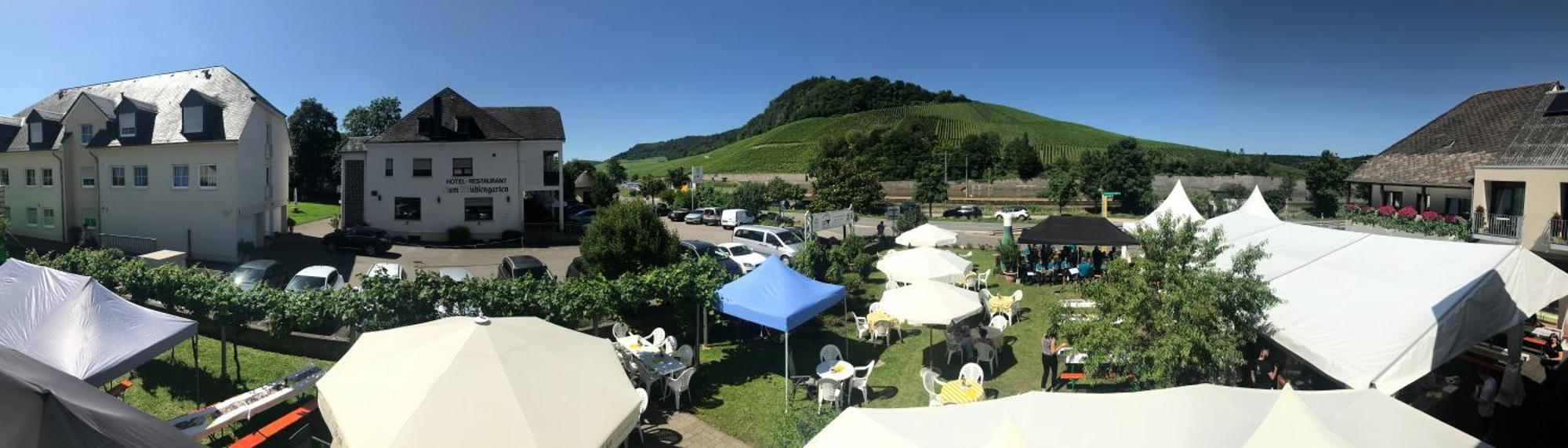 Gaestehaus Und Weingut Bernd Frieden Ниттель Экстерьер фото