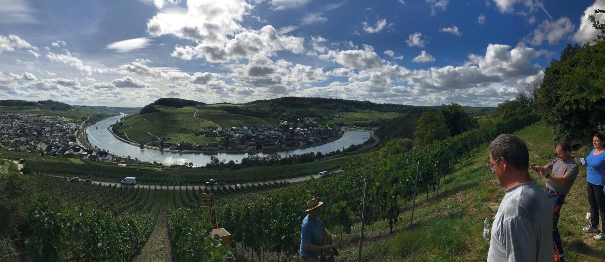 Отель Gastehaus Und Weingut Bernd Frieden Ниттель Экстерьер фото