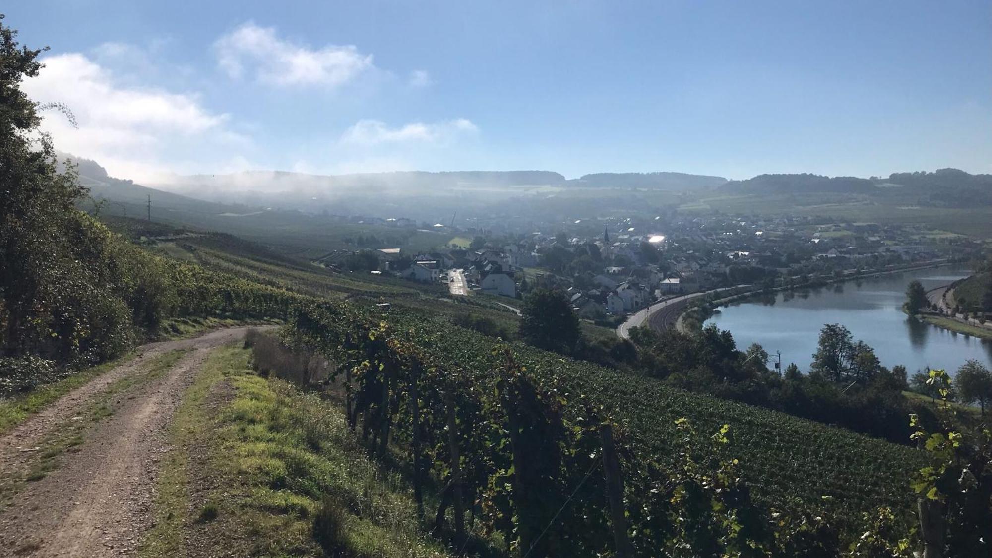 Отель Gastehaus Und Weingut Bernd Frieden Ниттель Экстерьер фото