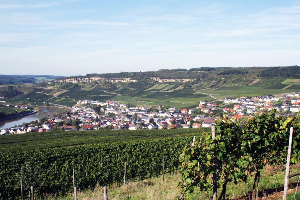 Отель Gastehaus Und Weingut Bernd Frieden Ниттель Экстерьер фото